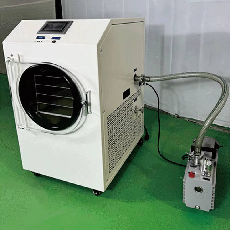 Secador industrial de alta qua - Dried Fruit avaliação e preço
